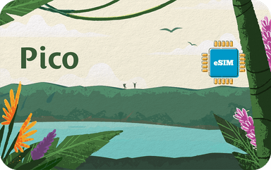 Pico