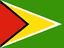 Guyana flag