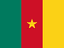 Cameroon flag