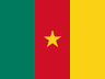 Cameroon flag