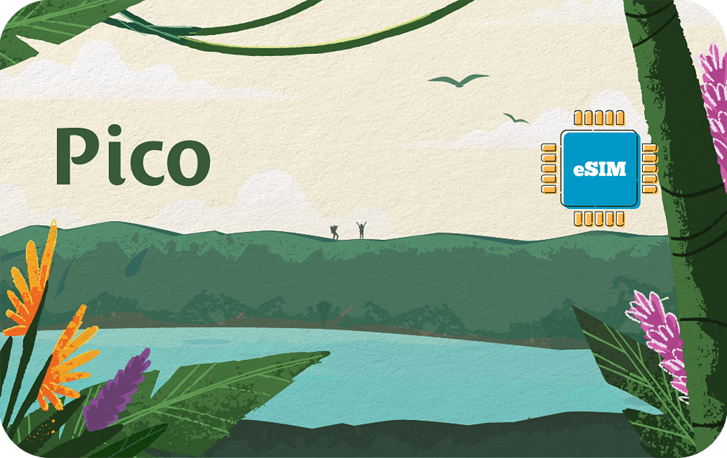 Pico